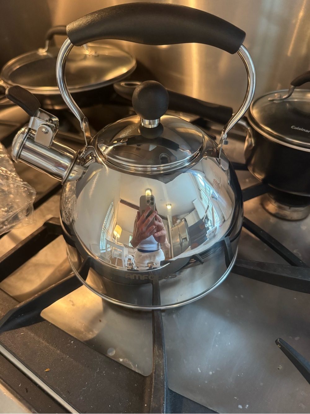 Polished Stainless Steel Whistling Tea Kettle with Black Handle